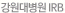 뺴 IRB
